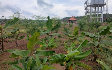 Plot – Garden View at Budhera - for Sale