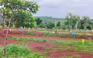 Plot Area in Plot at Budhera – for Sale