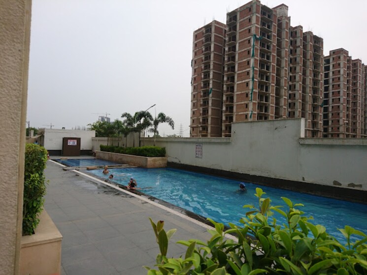 Swimming Pool, tulip-white 3 Bedroom 1326 Sq.Ft. Apartment In Sector 69 Gurgaon 7506781