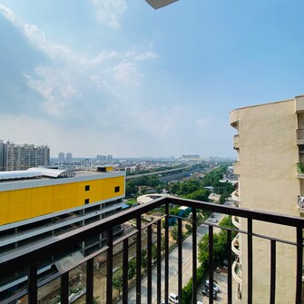 3 BHK Apartment For Rent in Aims Golf Avenue II Sector 75 Noida  7507060