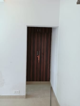 3 BHK Apartment For Rent in Orchid Petals Sector 49 Gurgaon  7507047