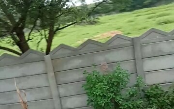 Land For Sale in Tirumala Residency Shamirpet, Shamirpet