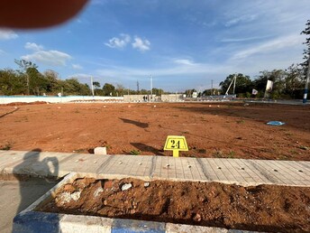 Plot For Resale in Hoskote Malur Road Bangalore  7507191