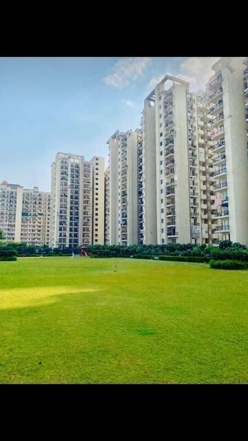 3 BHK Apartment For Sale in MGH Mulberry County, Sector 70