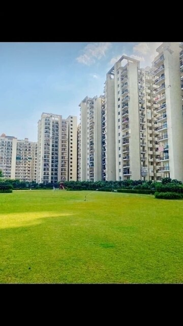 2 BHK Apartment For Sale in MGH Mulberry County, Sector 70