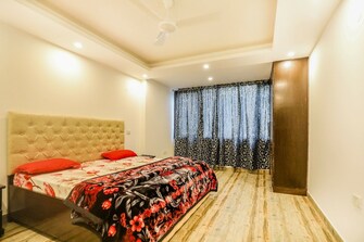 4 BHK Builder Floor For Rent in Saket Delhi  7507860