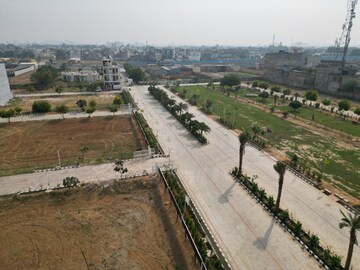 Plot Area in  Plot at Sector 22 – for Sale