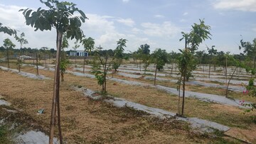 Plot Area in  Plot at Alair – for Sale