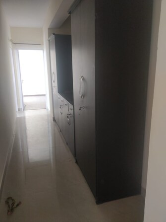 3 BHK Apartment For Rent in DLF The Wellington Estate Dlf Phase V Gurgaon  7508747