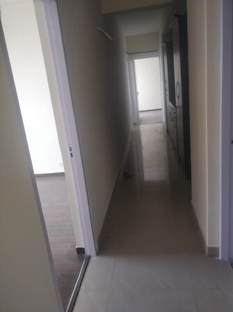 3 BHK Apartment For Rent in DLF The Wellington Estate Dlf Phase V Gurgaon  7508747