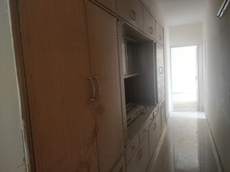 3 BHK Apartment For Rent in DLF The Wellington Estate Dlf Phase V Gurgaon  7508747