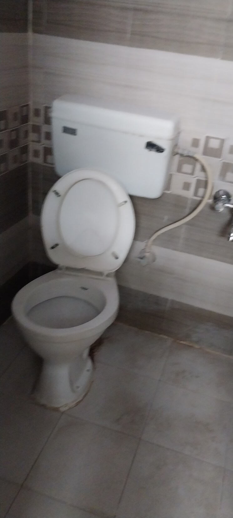 Bathroom, basavanagudi 2 Bedroom 1000 Sq.Ft. Independent House In Basavanagudi Bangalore 7508786