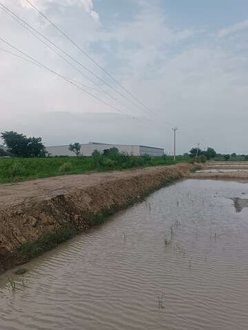 Plot Area in  Plot at Ronchi Bangar – for Sale