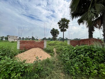 Plot Area in  Plot at Bakarganj – for Sale