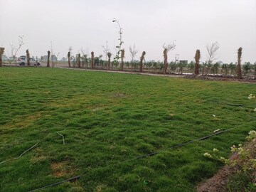  Plot For Sale in Sector Rho 2