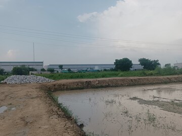 Plot Area in  Plot at Tantura – for Sale