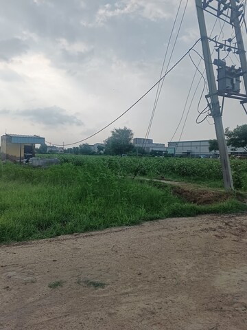 Plot Area in  Plot at Tantura – for Sale