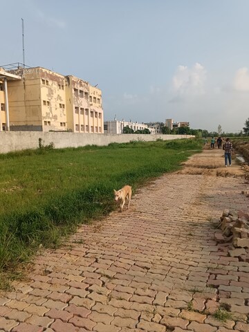 Plot For Resale in Tantura Mathura  7509324