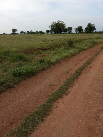 Plot Area in  Plot at Bibinagar – for Sale