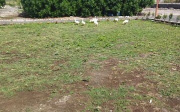 Plot For Sale in Beltarodi