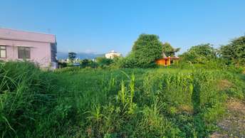 Plot For Resale in Kaladhungi Road Haldwani  7509574