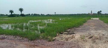 Plot Area in  Plot at Sultanpur – for Sale