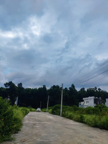   Plot at Raipur – for Sale