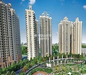 2 BHK Apartment For Rent in Gaur City 2 - 12th Avenue Noida Ext Sector 16c Greater Noida  7510043