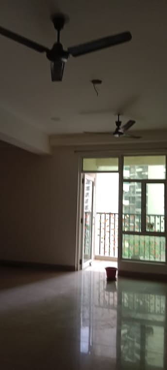 2 BHK Apartment For Rent in Gaur City 2 - 12th Avenue Noida Ext Sector 16c Greater Noida  7510162