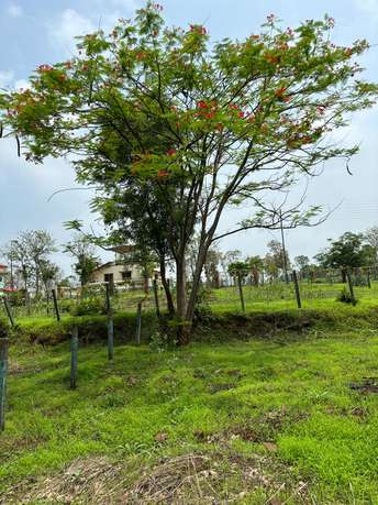 Plot For Resale in Mora Gaon Mumbai  7504342