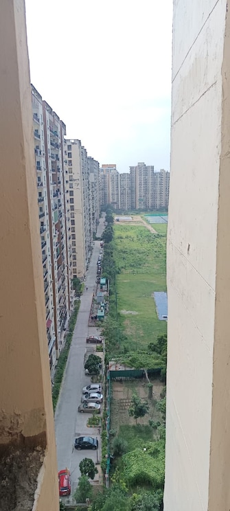 3 BHK Apartment For Rent in Aims Golf City Sector 75 Noida  7510532