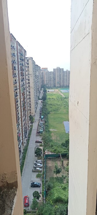 3 BHK Apartment For Rent in Aims Golf City Sector 75 Noida  7510532