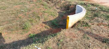Plot Area in  Plot at Thanjore Road – for Sale