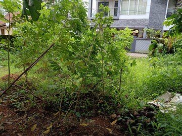  Plot – Exterior View View at Vasant Kunj - for Sale