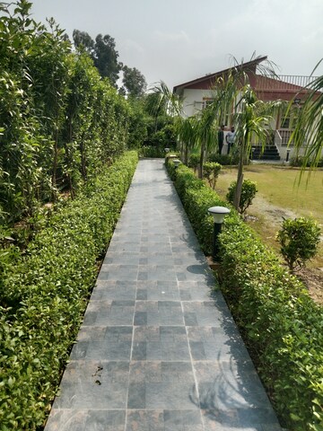 2 BHK Villa – Garden View at Sector 135 - for Sale