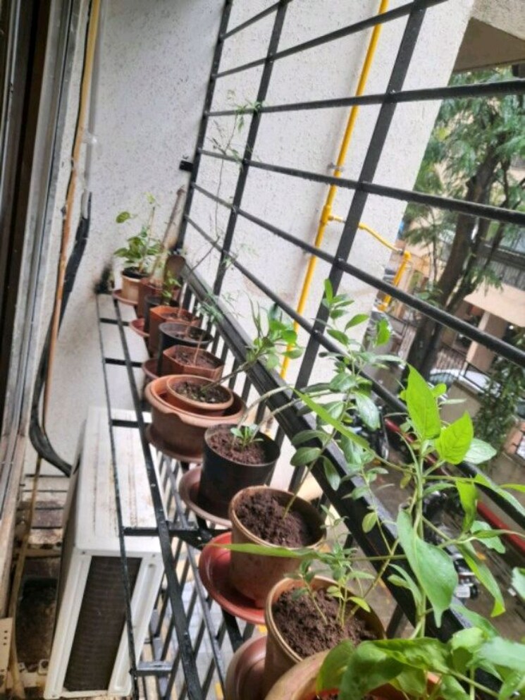 Balcony, westin-ratnadeep 1 Bedroom 429 Sq.Ft. Apartment In Tilak Nagar Mumbai 7511974