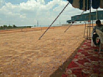 Plot Area in  Plot at Turkayamjal – for Sale