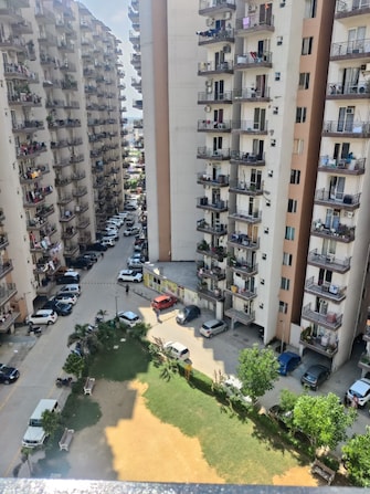 3 BHK Apartment For Rent in ROF Aalayas Sector 102 Gurgaon  7512751