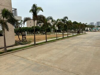 3 BHK Builder Floor For Resale in Ace Palm Floors Sector 89 Gurgaon  7512828