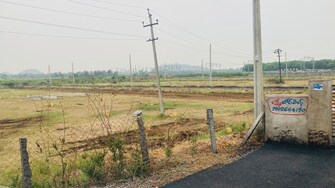 Plot For Resale in Hanamkonda Warangal  7512850