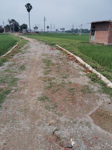 Plot Area in  Plot at Ramnagar – for Sale
