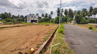 Plot For Resale in Omalur Salem  7513387