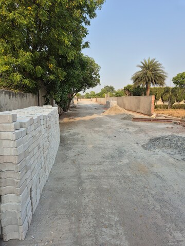  Plot – Exterior View View at Sector 16 - for Sale