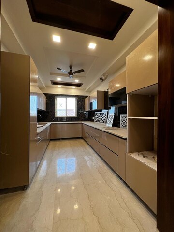 Kitchen in 3 BHK Builder Floor at Sector 16 – for Sale