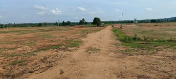 Plot Area in  Plot at Kongara Kalan – for Sale