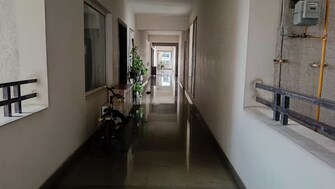 3 BHK Apartment For Rent in Sai Shanthi Nivas Kondapur Hyderabad  7514176