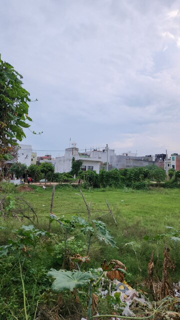 Plot For Resale in Sadopur Greater Noida  7514338