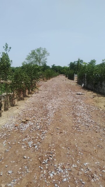 Plot Area in  Plot at Chithara – for Sale