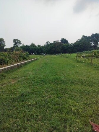 Plot For Resale in Anand Nagar Lucknow  7515836