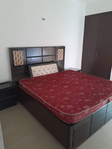 2 BHK Apartment For Rent in Vipul Lavanya Sector 81 Gurgaon  7516036